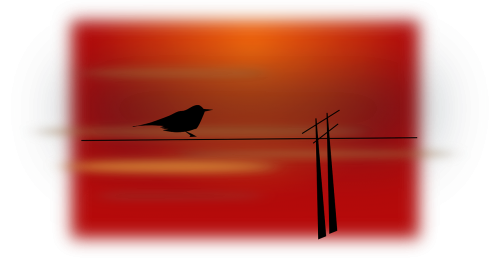bird scenery silhouette
