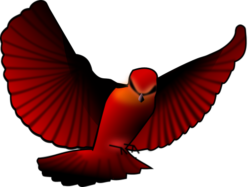 bird red wings
