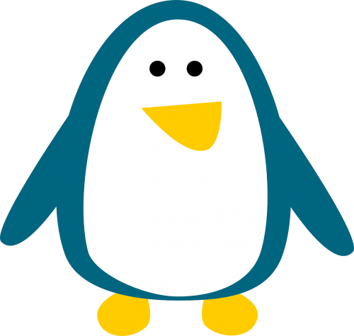 bird penguin animal