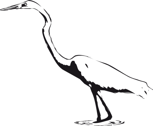 bird egret marsh