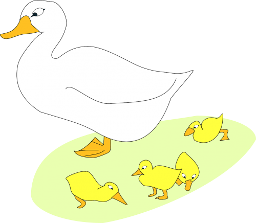 bird goose gosling