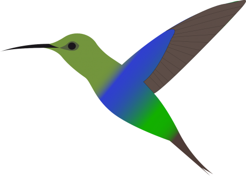 bird humming-bird hummingbird