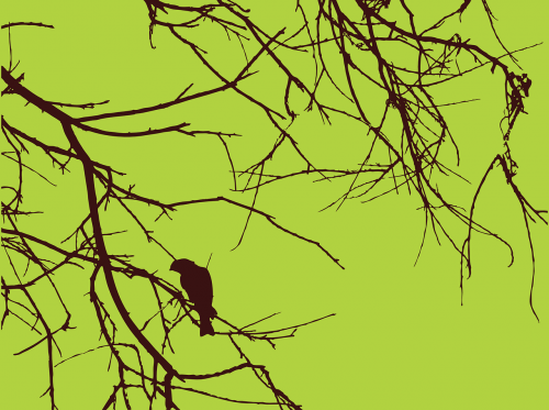 bird branches brown