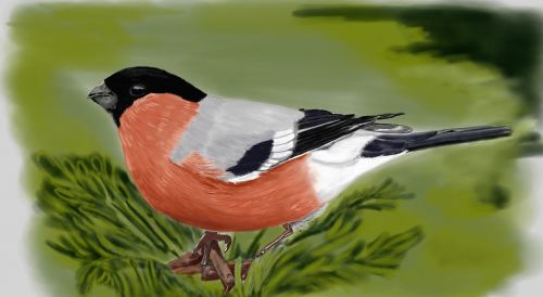 bird painting art
