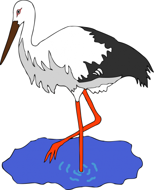 bird pond stork