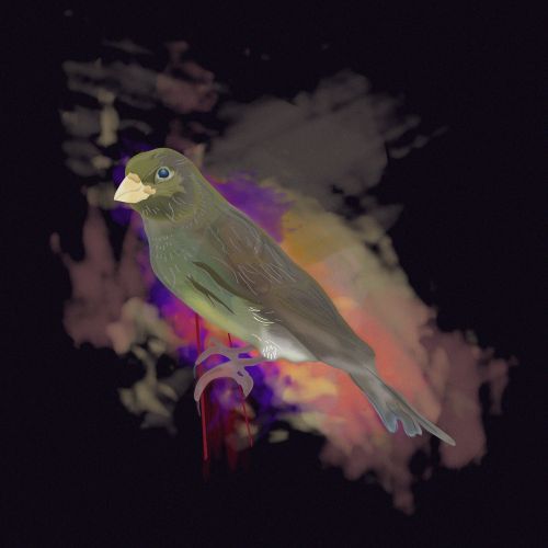 bird computer paint design