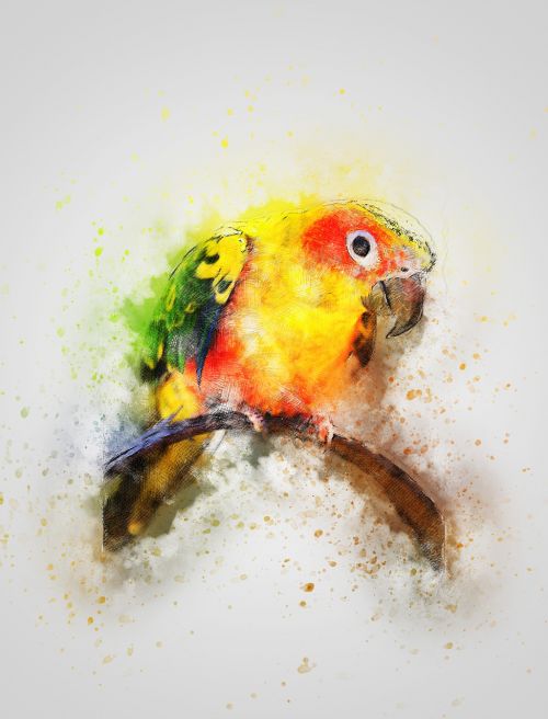 bird color animal