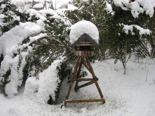 bird winter aviary