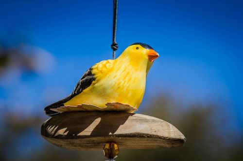 bird yellow sky