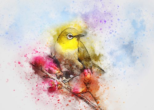 bird animal art