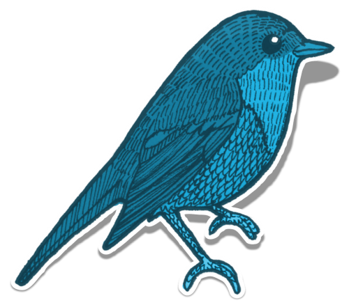 bird blue element