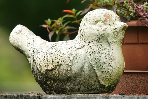bird weathered sculpture