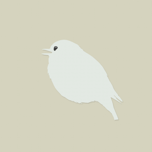 bird background design