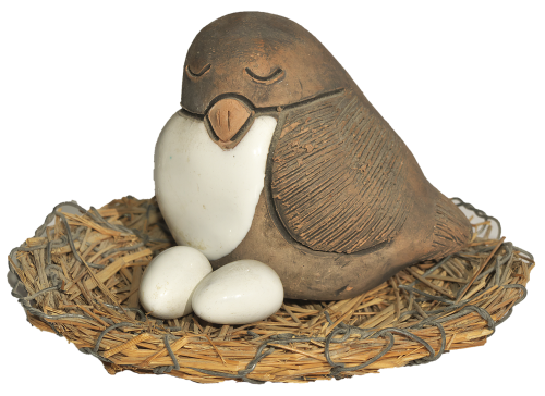 bird nest egg