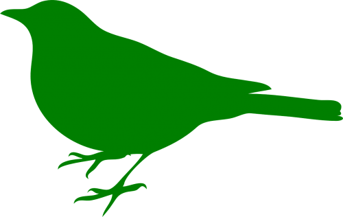 bird animal silhouette