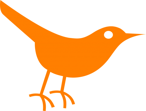 bird twitter orange