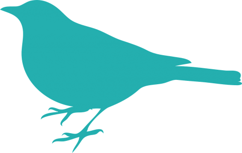 bird teal silhouette