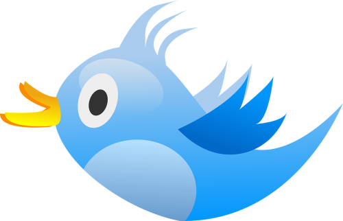 bird twitter blue