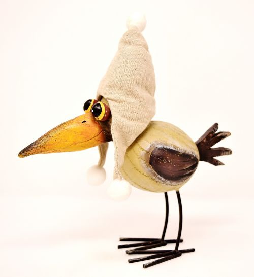 bird funny cap