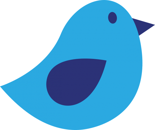 bird design blue