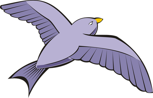 bird  pigeon  flight