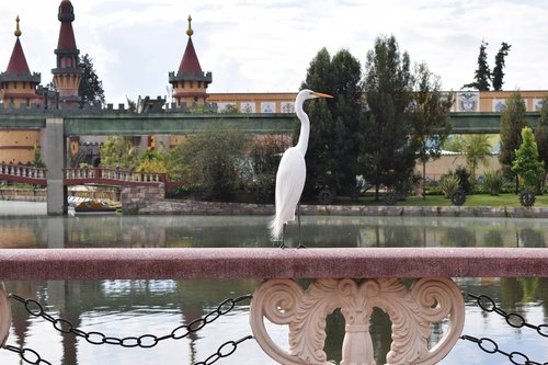 bird  river  park