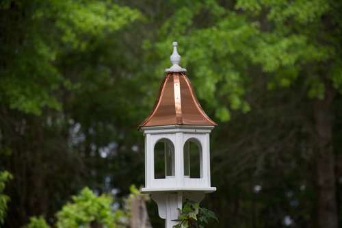 bird  feeder  backyard