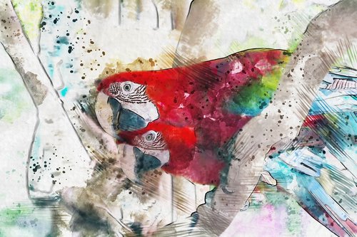 bird  parakeet  artwork