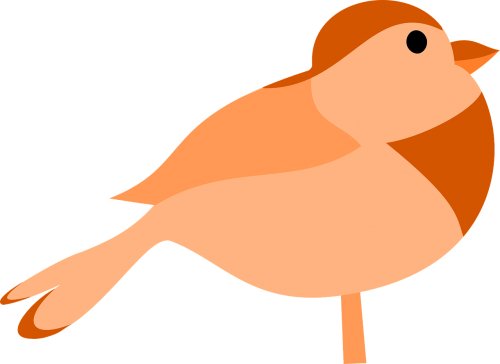 bird orange brown