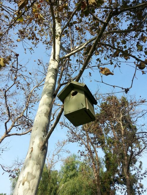 bird nest birdhouse