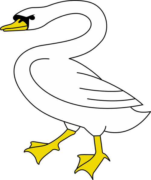 bird swan animal