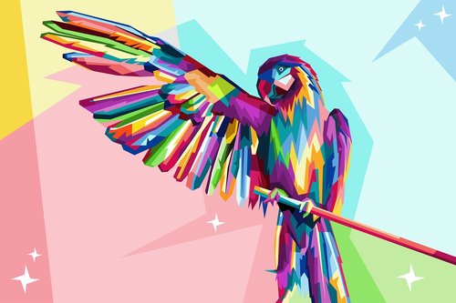 bird  parrot  colorful