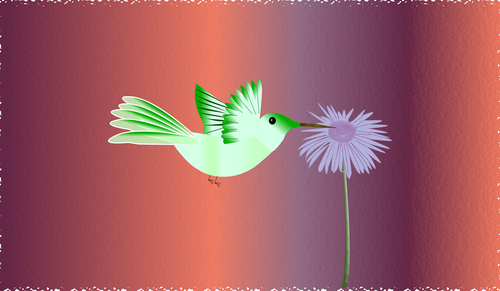 bird  flower  nature