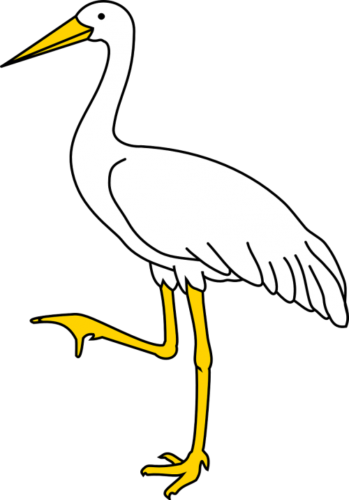 bird stock white