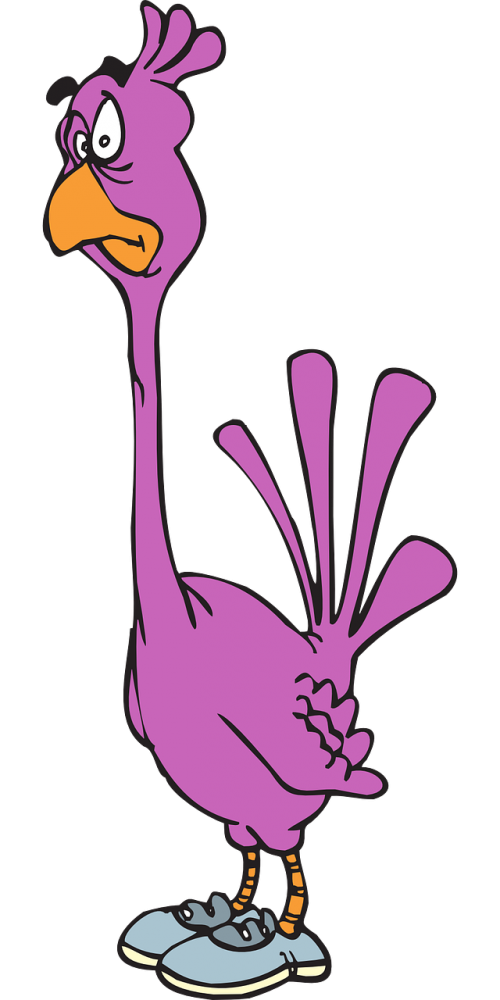 bird pink purple