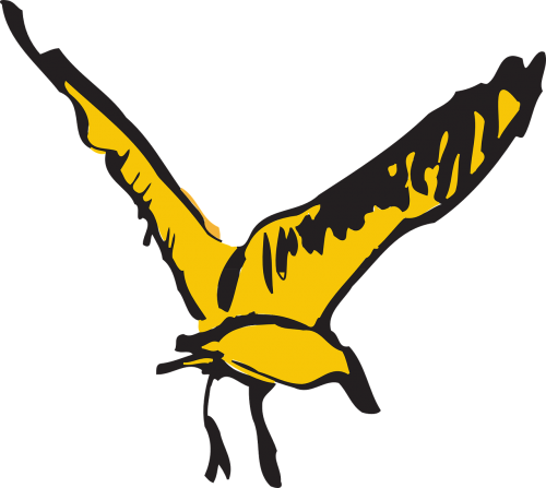 bird flying yellow