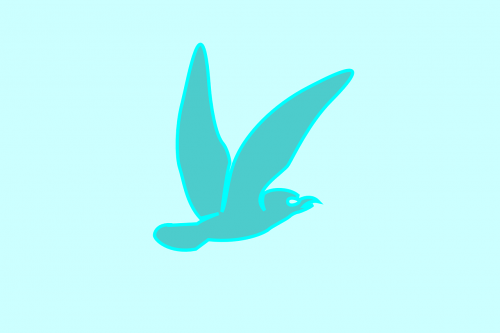 bird blue flying