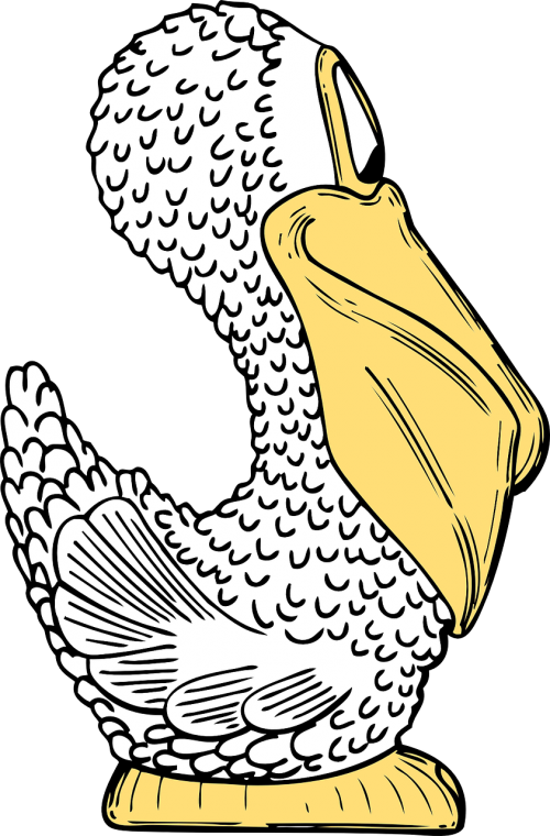 bird side pelican
