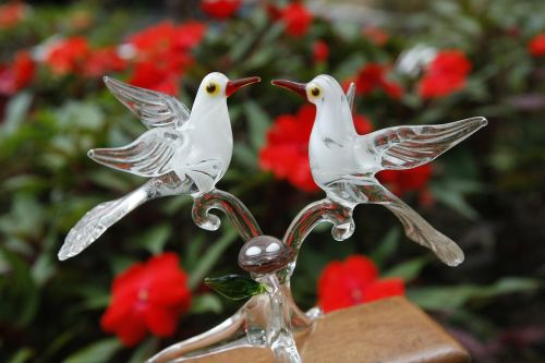 bird glass love
