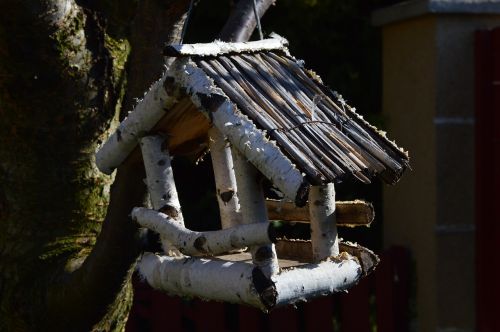 bird winter bird feeder