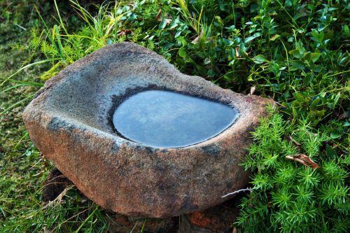 Bird Bath In Millstone