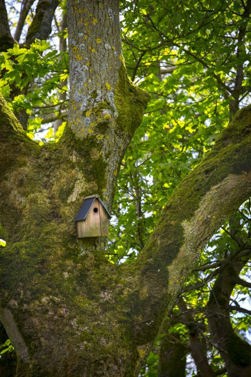 Bird Booth