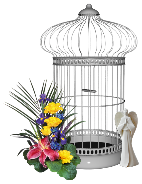 bird cage yellow flower flower