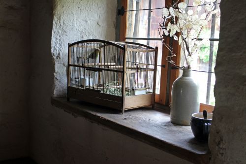 bird cage cage window sill