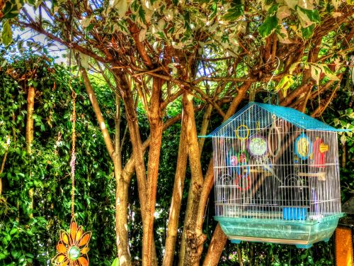 Bird Cage In The Garden