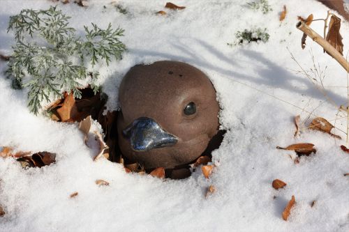 Bird Covered In Snow
