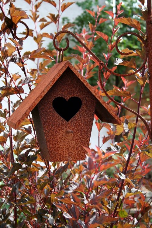 bird feeder heart love