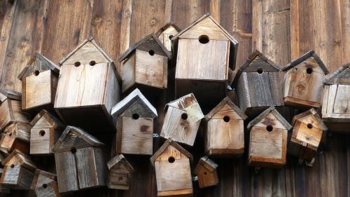 bird feeder nest boxes allgäu