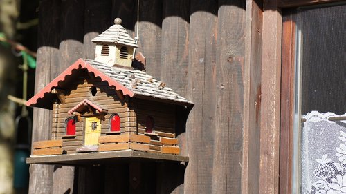 bird feeder  aviary  feeding place