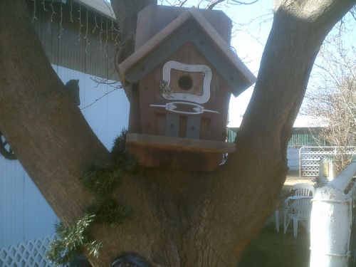 Bird House